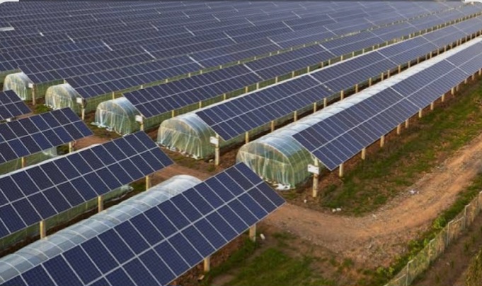 Solución energética renovable